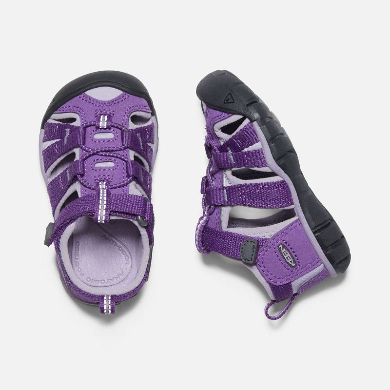 Keen Seacamp II CNX Baby Sandalen Kinder DE-35970 Royal Purple/Lavender Gray - Keen Kinderschuhe Lil